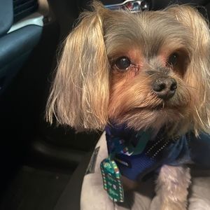 Meet your Posher, C monique